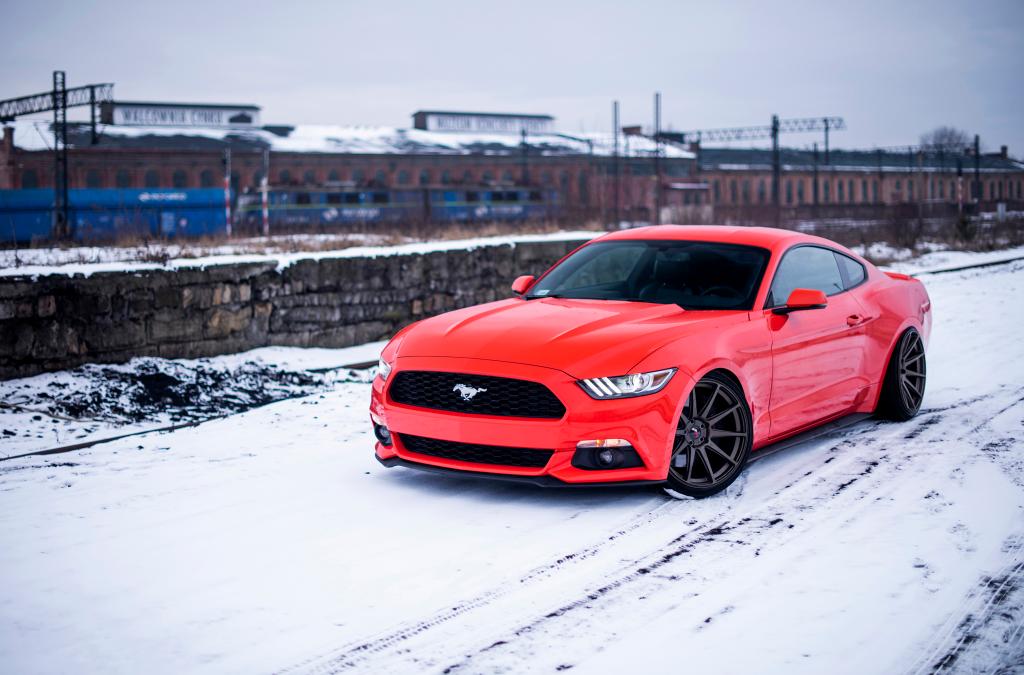 Ford Mustang | JR Wheels JR11 Matt Bronze