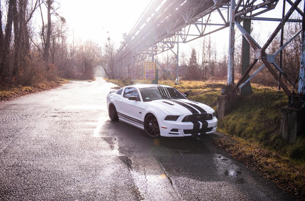 Ford Mustang | JR Wheels JR30 Matt Bronze