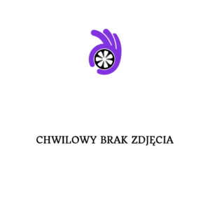 seventy9 MF.19 20" x 10,5 ET14 5x112 P - Polish